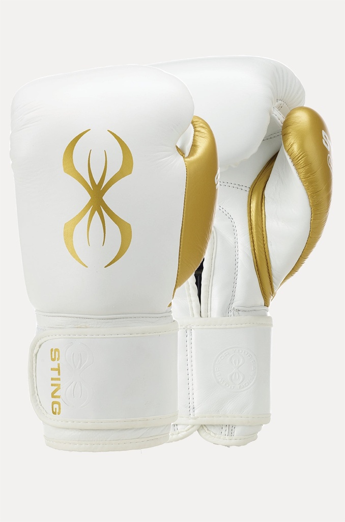 Evolution Boxhandschuhe