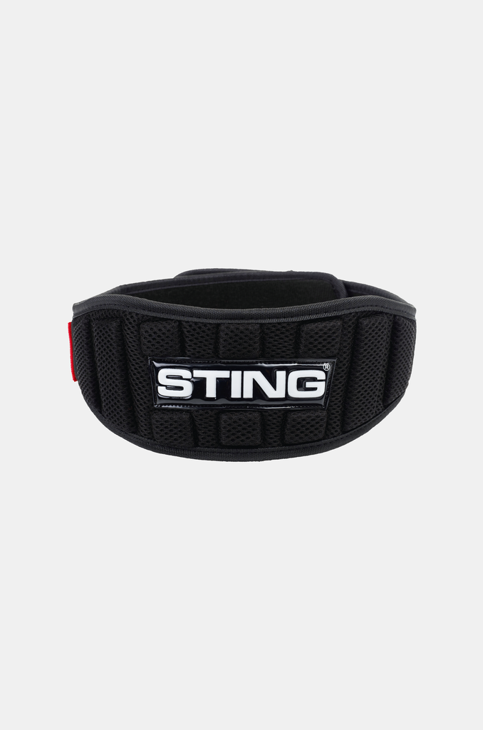4 Inch Neo Lifting Belt