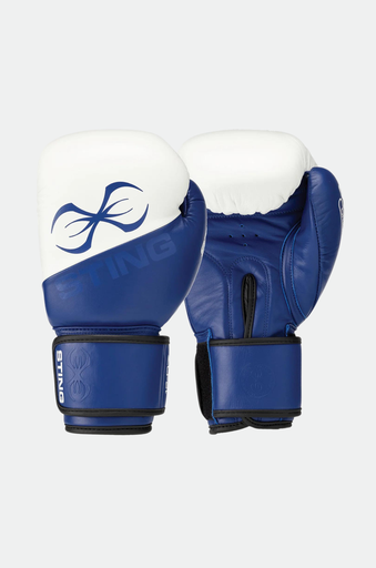 [G] Orion Boxing Gloves