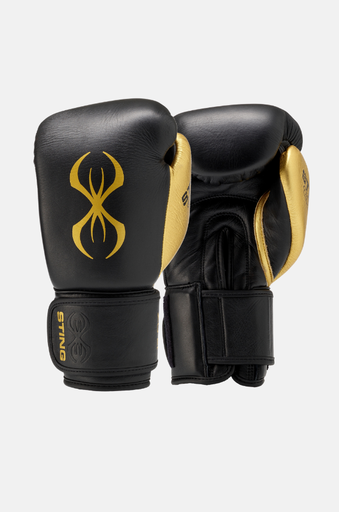 Evolution Boxhandschuhe