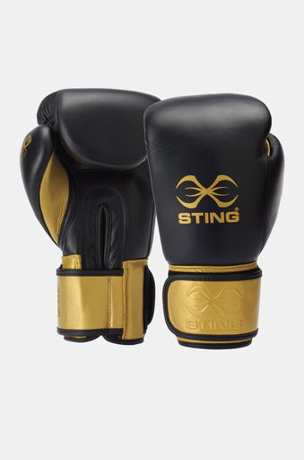 [G] Evolution Boxhandschuhe